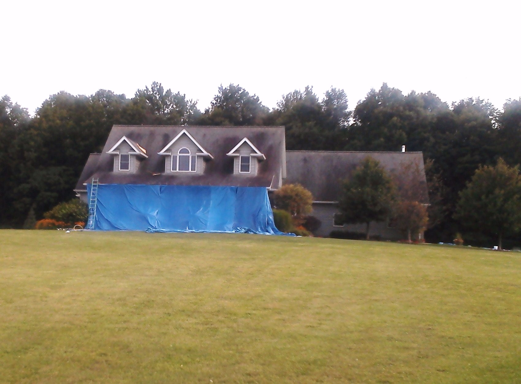 Erie,PA Roof Stain Cleaning